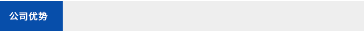 公司優(yōu)勢(shì)